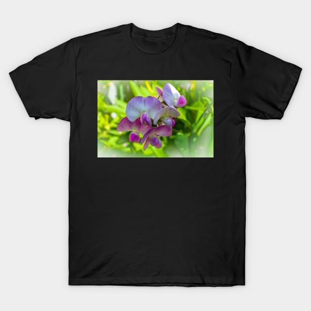 Sweet Pea Blossom T-Shirt by zigzagr63